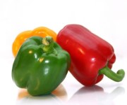 Paprika Gem&uuml;se Dresden
